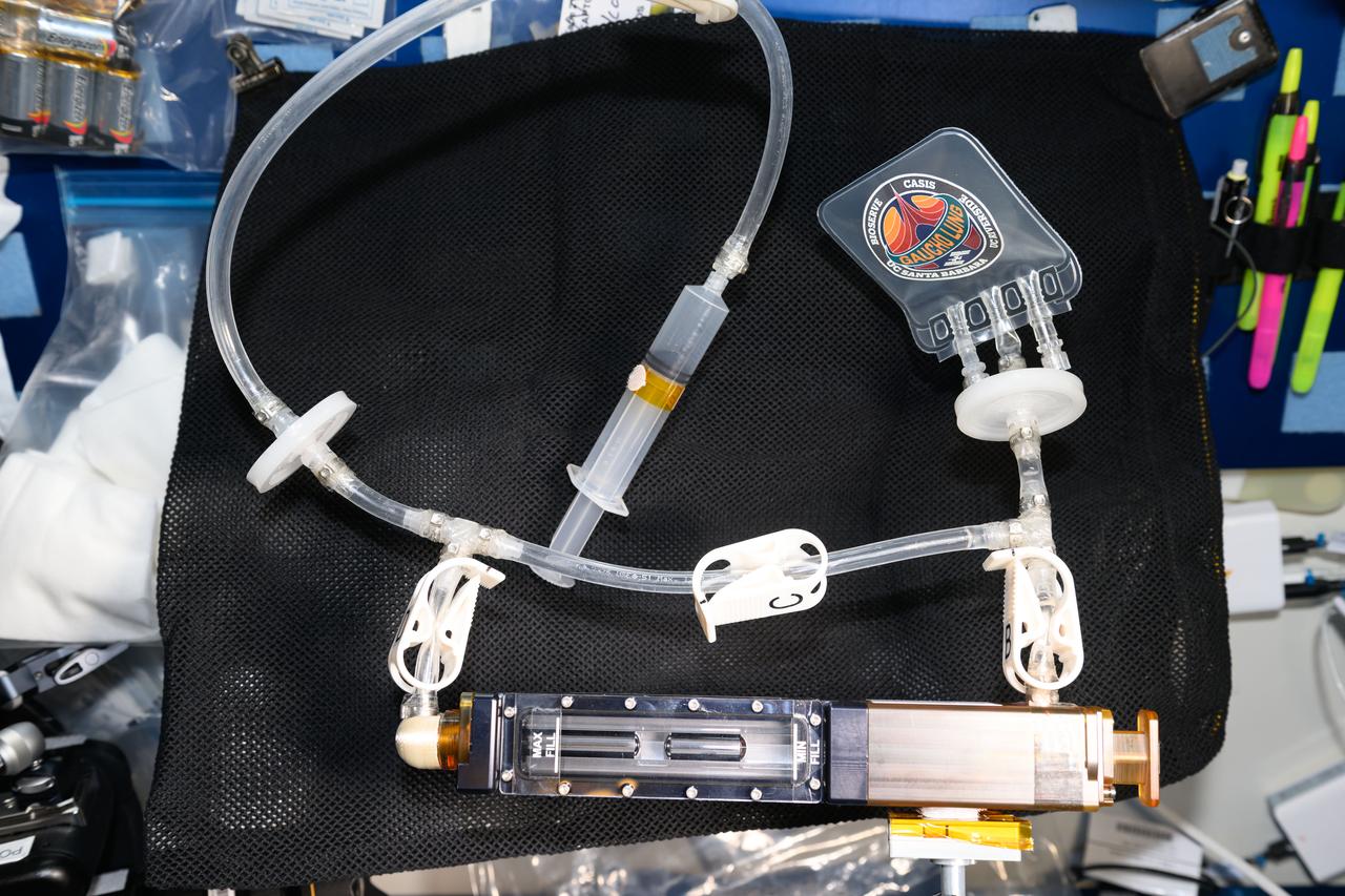 iss071e06219 (5/7/2024) --- A view of the Gaucho Lung investigation hardware aboard the International space station (ISS). The Wicking in Gel-Coated Tubes (Gaucho Lung) investigation studies fluid transport within gel-coated tubes to learn more about treatment programs for respiratory distress syndrome and develop new contamination control strategies.