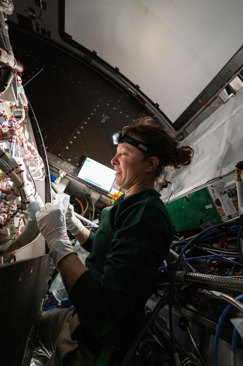 iss071e077443 (May 10, 2024) --- NASA astronaut and Expedition 71 Flight Engineer Tracy C. Dyson works in the Tranquility module replacing hardware that supports the water recovery system which is part of the International Space Station’s Waste and Hygiene compartment, or bathroom.