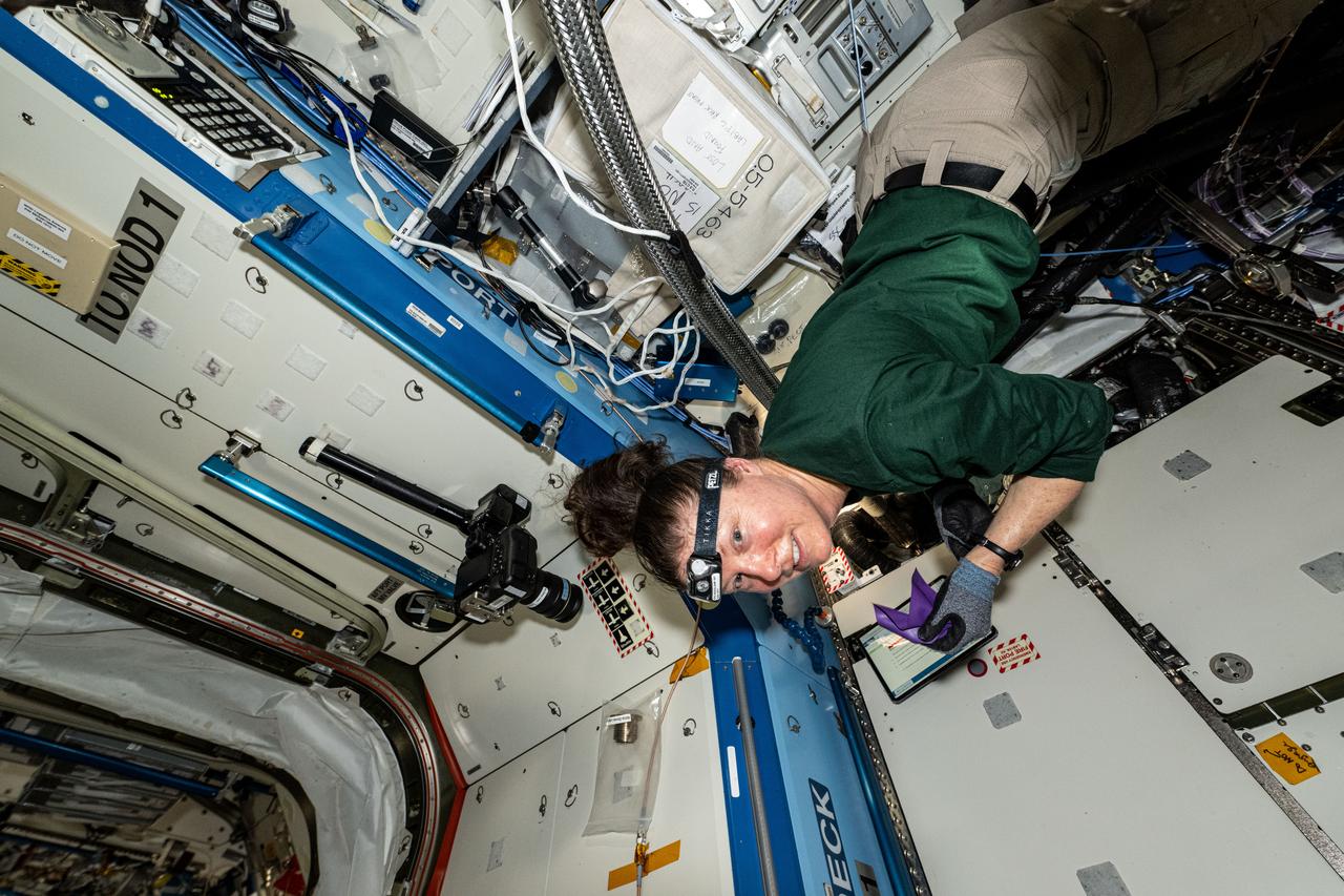 iss071e077827 (May 15, 2024) --- NASA astronaut and Expedition 71 Flight Engineer Tracy C. Dyson installs Atmosphere Revitalization System hardware in the International Space Station's Destiny laboratory module.