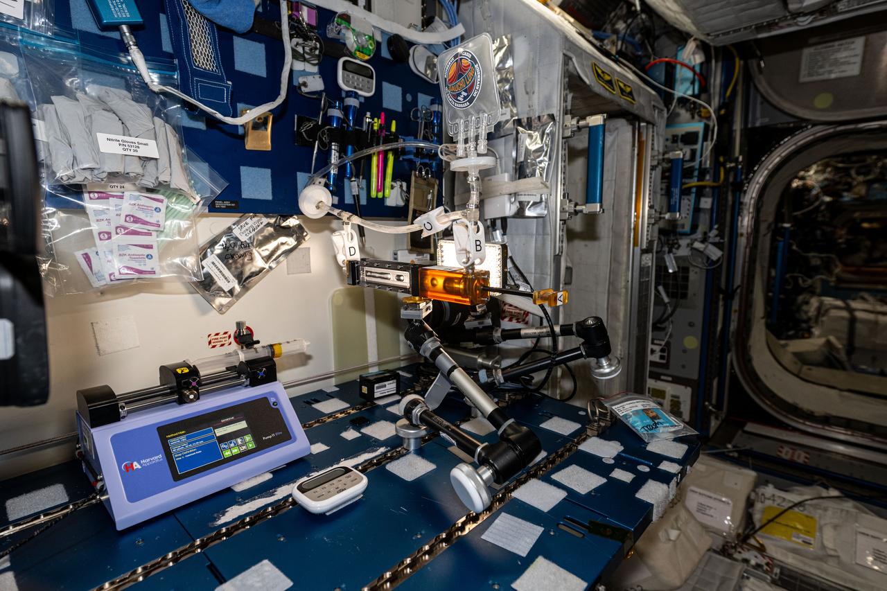 iss071e092797 (5/20/2024) --- A view of the Gaucho Lung investigation hardware aboard the International space station (ISS). The Wicking in Gel-Coated Tubes (Gaucho Lung) investigation studies fluid transport within gel-coated tubes to learn more about treatment programs for respiratory distress syndrome and develop new contamination control strategies.