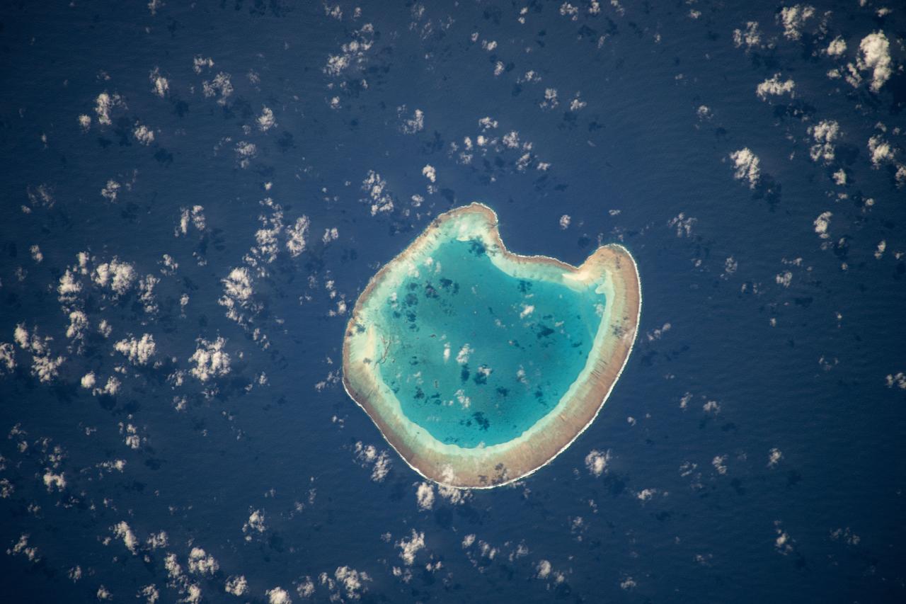 iss071e111610 (May 23, 2024) -- Nearly halfway between Madagascar and Mozambique lies the Bassas da India atoll in the Mozambique Channel. The uninhabited ring-shaped island spans roughly 330 feet (~100 meters) around a shallow lagoon. The International Space Station was soaring 260 miles above as this photo was taken.