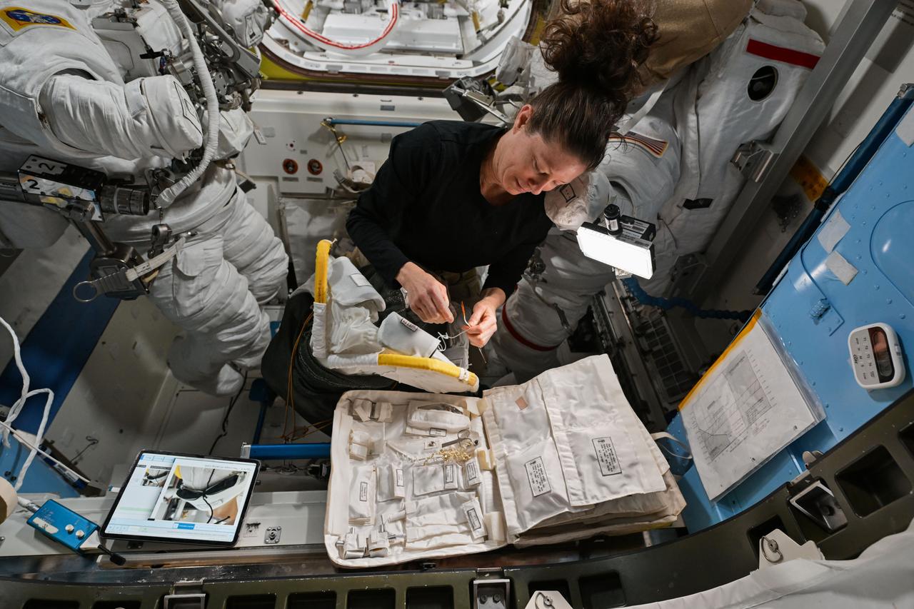 iss071e179083 (June 10, 2024) --- NASA astronaut and Expedition 71 Flight Engineer Tracy C. Dyson works inside the International Space Station's Quest airlock performing maintenance on a spacesuit's liquid cooling ventilation garment.