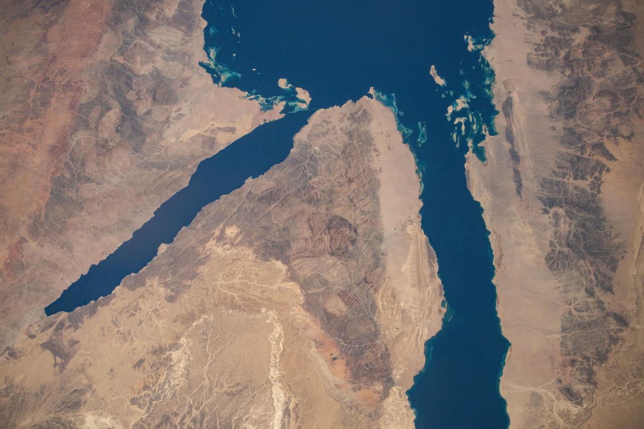 iss071e183804 (June 14, 2024) -- At the northern end of the Red Sea, the Gulf of Aqaba (left) and Gulf of Suez (right) are surrounded by the dry, rugged terrain of Egypt and Saudi Arabia. This photograph was taken as the International Space Station orbited 262 miles above.