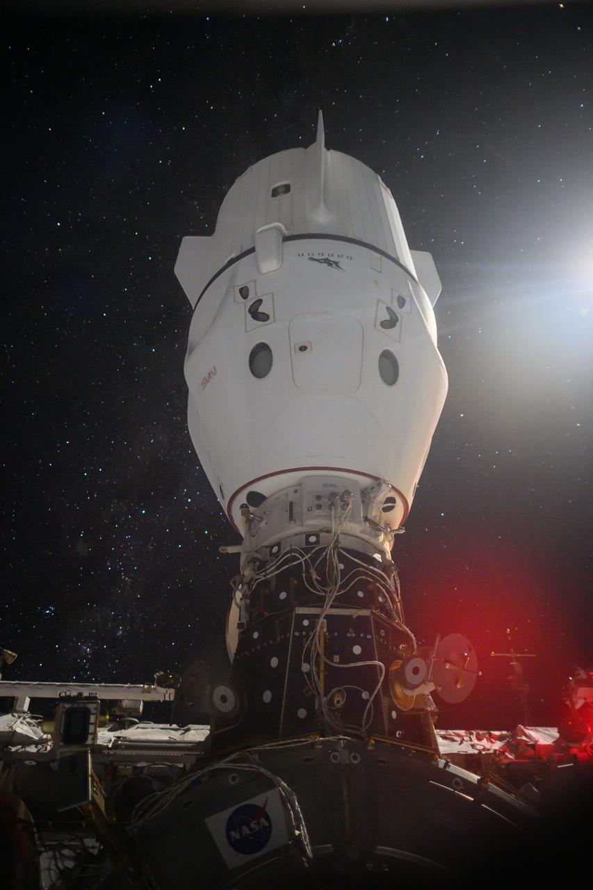 iss071e200795 (June 18, 2024) -- A SpaceX Dragon Endeavour spacecraft is pictured docked to the zenith port of the International Space Station's Harmony module as the orbiting complex soared 265 miles above the Indian Ocean.
