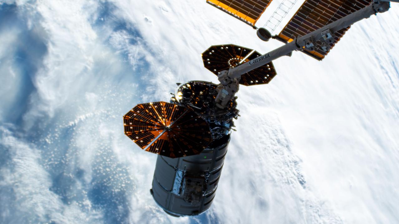 iss071e329977 (July 12, 2024) --- Northrop Grumman's Cygnus space freighter is attached to the leading end effector of the 57.7-foot-long Canadarm2 robotic arm about to be released into Earth orbit ending a five-and-a-half month cargo mission berthed to the International Space Station's Unity module.