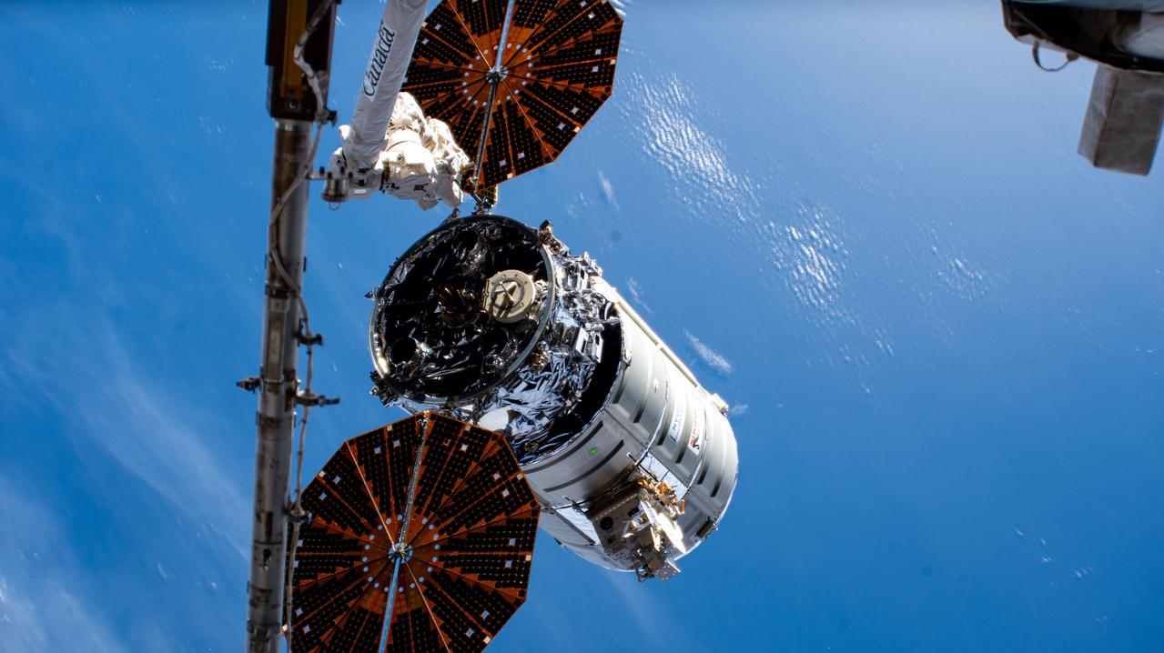 iss071e329985 (July 12, 2024) --- Northrop Grumman's Cygnus space freighter was released from the 57.7-foot-long Canadarm2 robotic arm into Earth orbit ending a five-and-a-half month cargo mission berthed to the International Space Station's Unity module.