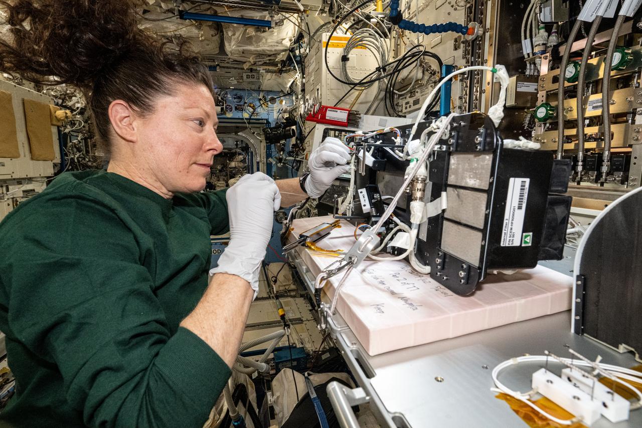 iss071e414661 (Aug. 1, 2024) --- NASA astronaut and Expedition 71 Flight Engineer Tracy C. Dyson services research components inside the Solid Combustion Experiment Module (SCEM) aboard in the Interational Space Station's Kibo laboratory module. The SCEM enables combustion research in microgravity to study how materials burn in weightlessness and improve fire safety techniques aboard spacecraft.