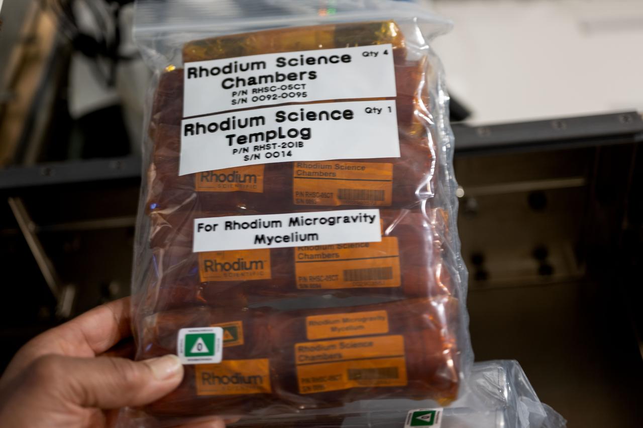 iss071e439621 (Aug. 7, 2024) -- Rhodium science chambers are pictured prior to storage in an ambient locker location aboard the International Space Station. The Swinburne Youth Space Innovation Challenge 2023 Examining Mushroom Growth in Microgravity, or Rhodium Microgravity Mycelium investigation, tests the growth rates of mycelia, the root structures of mushrooms, in space. Microgravity can alter the growth rates of other organisms and understanding how it affects mycelium growth rate and biomass production could provide insight into growth characteristics of fungi. Mushrooms have recognized nutritional value and results could lead to more efficient mushroom growth and new strains of mushrooms as potential food sources for space travel and for research on Earth.