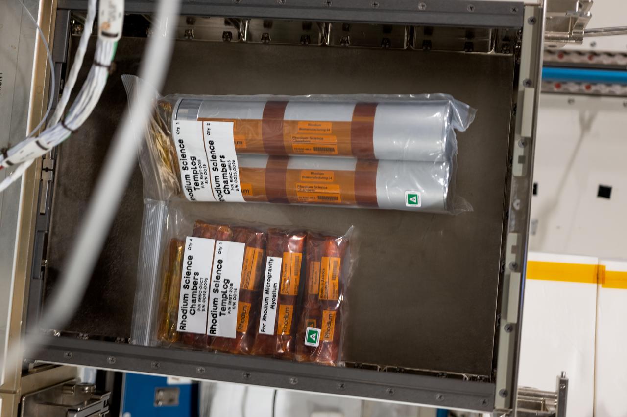 iss071e439623 (Aug. 7, 2024) -- Rhodium science chambers are pictured prior to storage in an ambient locker location aboard the International Space Station. The Swinburne Youth Space Innovation Challenge 2023 Examining Mushroom Growth in Microgravity, or Rhodium Microgravity Mycelium investigation, tests the growth rates of mycelia, the root structures of mushrooms, in space. Microgravity can alter the growth rates of other organisms and understanding how it affects mycelium growth rate and biomass production could provide insight into growth characteristics of fungi. Mushrooms have recognized nutritional value and results could lead to more efficient mushroom growth and new strains of mushrooms as potential food sources for space travel and for research on Earth.