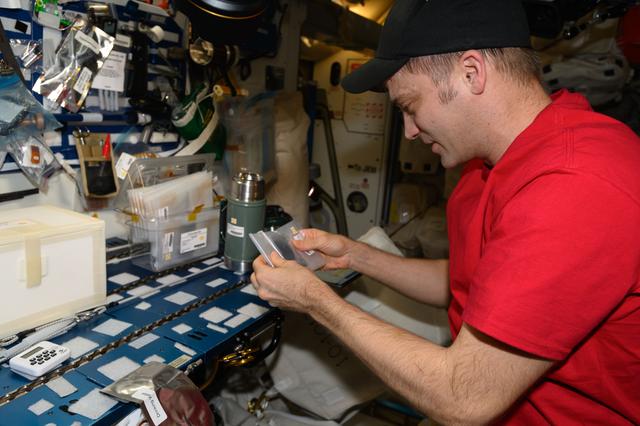 NASA image: iss071e462507