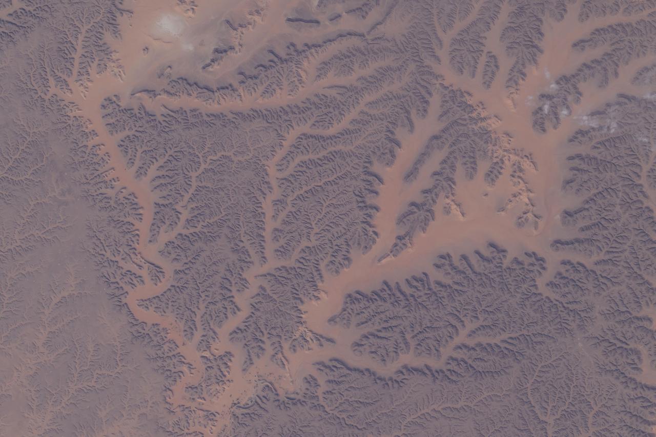 iss071e462964 (Aug. 9, 2024) --- Dry watercourses, also known as wadis, in Algeria's Ghardaia Province are pictured from the International Space Station as it orbited 262 miles above the African nation.