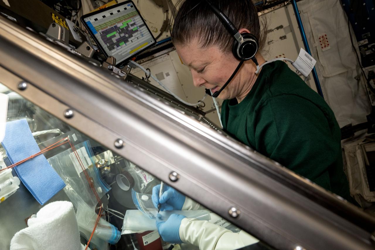 iss071e485590 (Aug. 14, 2024) --- NASA astronaut and Expedition 71 Flight Engineer Tracy C. Dyson cleans the inside of the Life Science Glovebox located aboard the International Space Station's Kibo laboratory. Dyson had earlier completed stem cell research operations exploring ways to advance cellular manufacturing and improve human health.