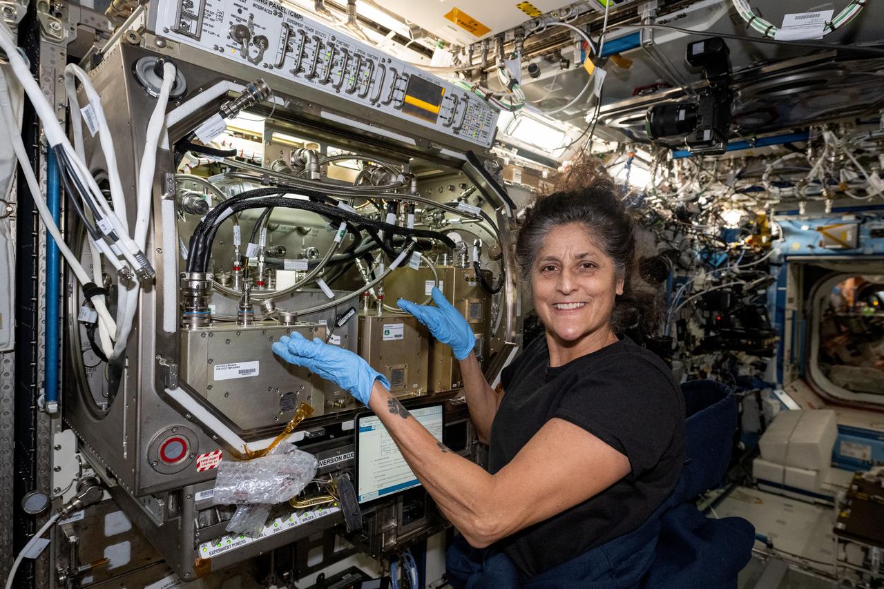 iss071e485832 (Aug. 15, 2024) --- NASA astronaut and Boeing Crew Flight Test Pilot Suni Williams installs the Packed Bed Reactor Experiment, experimental life support hardware, inside the Microgravity Science Glovebox located aboard the International Space Station's Destiny laboratory.