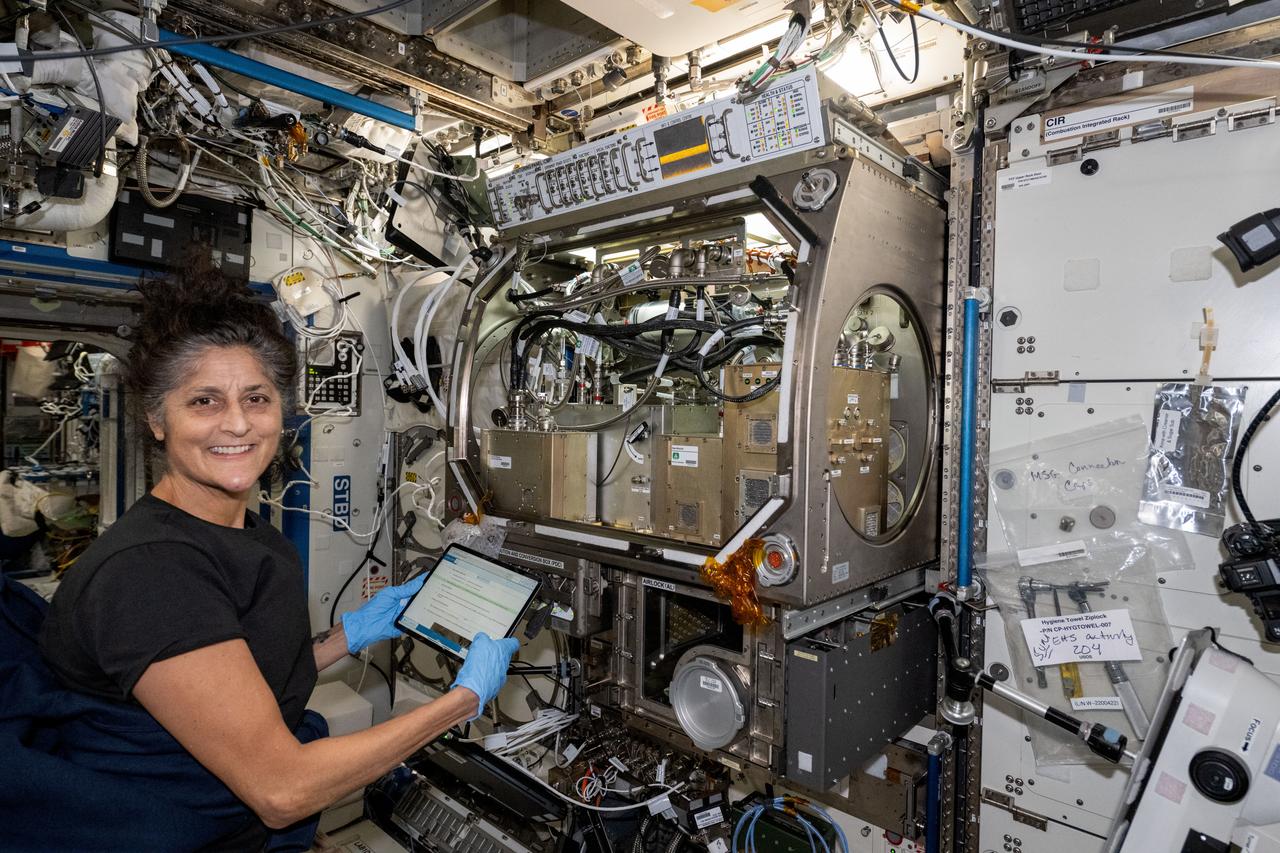 iss071e485839 (Aug. 15, 2024) --- NASA astronaut and Boeing Crew Flight Test Pilot Suni Williams installs the Packed Bed Reactor Experiment, experimental life support hardware, inside the Microgravity Science Glovebox located aboard the International Space Station's Destiny laboratory module.