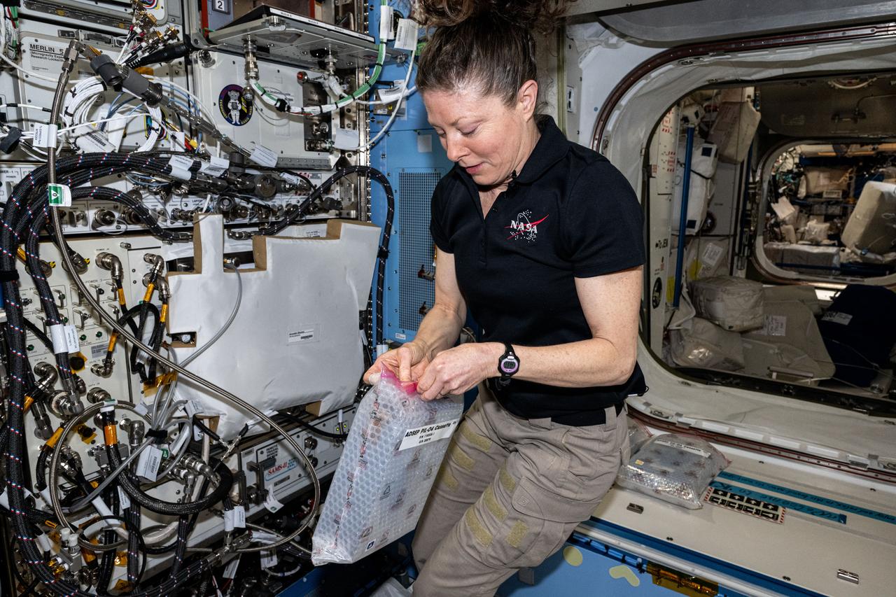 iss071e486657 (Aug. 15, 2024) --- NASA astronaut and Expedition 71 Flight Engineer Tracy C. Dyson swaps out sample processors for the Pharmaceutical In-space Laboratory experiment that is exploring the production and manufacturing of medicines to benefit astronauts in space and humans on Earth. The processors were installed in the Advanced Space Experiment Processor, or ADSEP, that can process a variety of research samples and be delivered to the International Space Station and returned to Earth aboard the SpaceX Dragon cargo craft.
