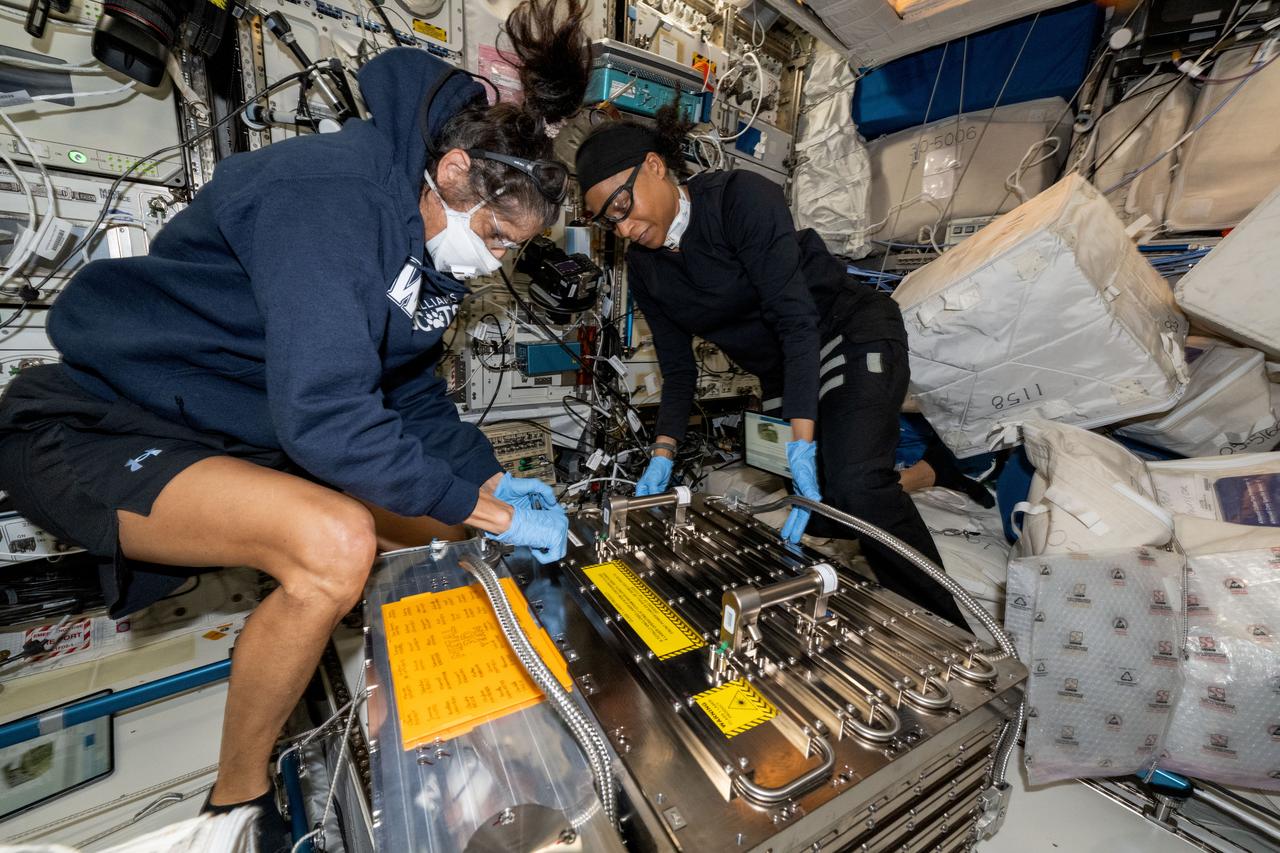 iss071e523326 (Aug. 21, 2024) --- NASA astronauts (from left) Suni Williams, Pilot for Boeing's Crew Flight Test, and Jeanette Epps, Expedition 71 Flight Engineer, configure the Metal 3D printer inside the Columbus laboratory module. They retrieved an experimental sample printed with stainless steel, replaced a substrate in the advanced manufacturing hardware, then reinstalled the 3D printer back in Columbus' European Drawer Rack-2. Researchers are exploring how the Metal 3D printer operates in the microgravity conditions of weightlessness and radiation as well as its ability to manufacture tools and parts on demand during space missions.