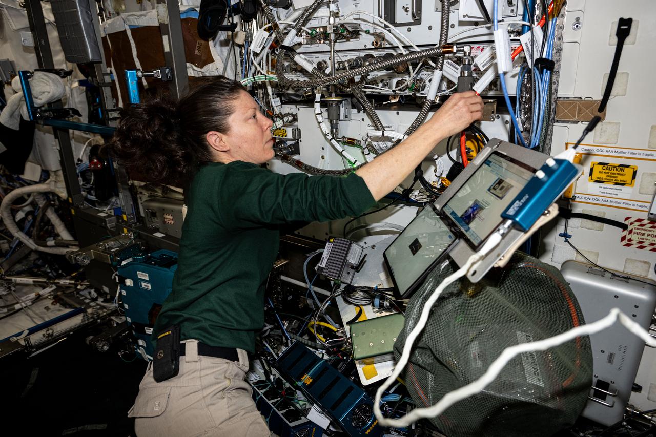iss071e609375 (Sept. 5, 2024) --- NASA astronaut and Expedition 71 Flight Engineer Tracy C. Dyson tests the configuration of computers that control life support systems aboard the International Space Station's Destiny laboratory module.