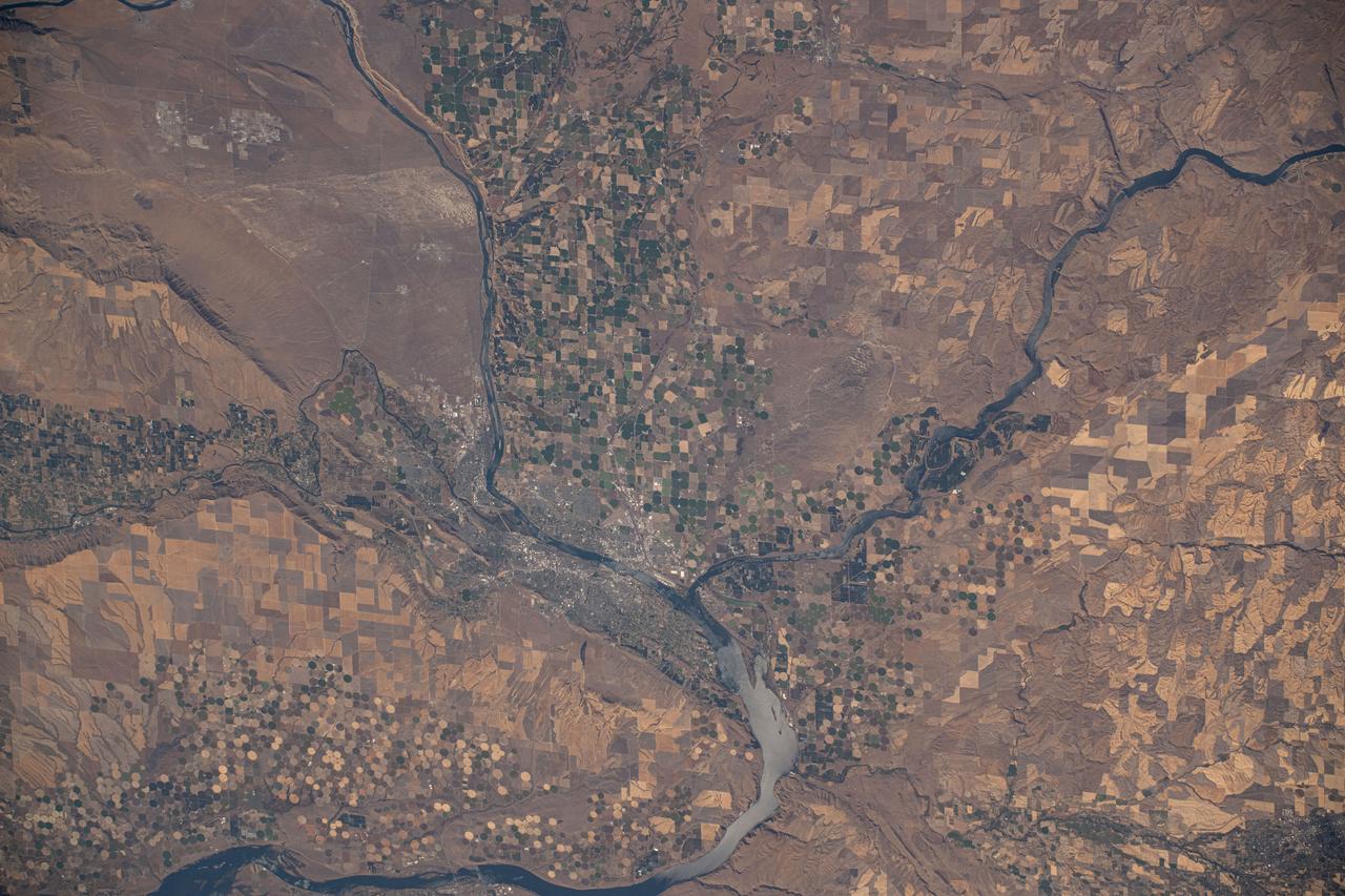 iss072e009926 (Oct. 1, 2024) --- The Columbia River splits into the Snake River where the Washington state counties of Walla Walla, Benton, and Franklin meet in this photograph from the International Space Station as it orbited 259 miles above.