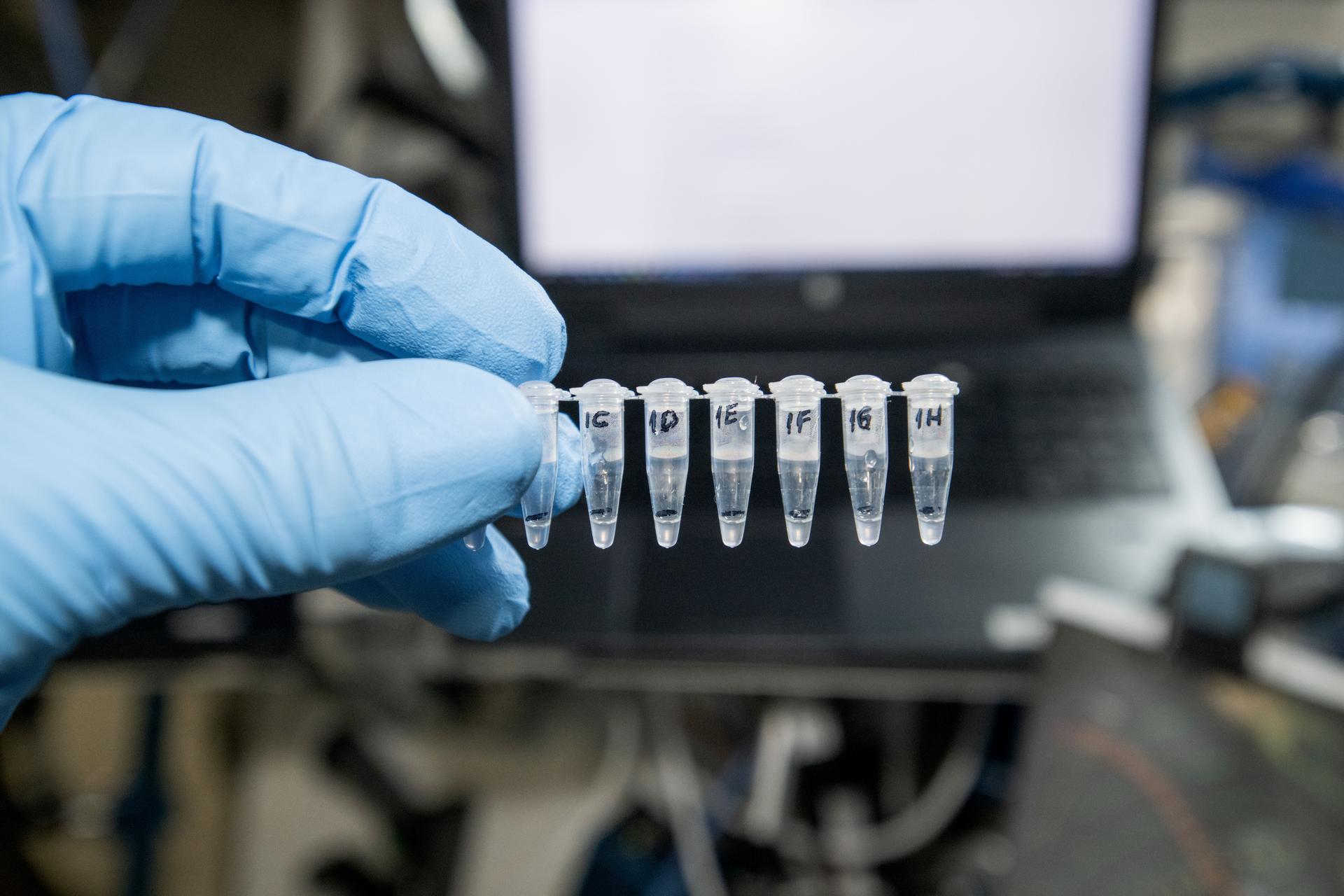 NASA astronaut and Expedition 72 Flight Engineer Don Pettit displays samples validating on-orbit Nucleic Acid Sequenced Based Amplification (NASBA), a novel technique to detect specific RNA sequences that can be applied to studying crucial biological processes, such as viral infection, genomic damage, or gene expression during spaceflight.