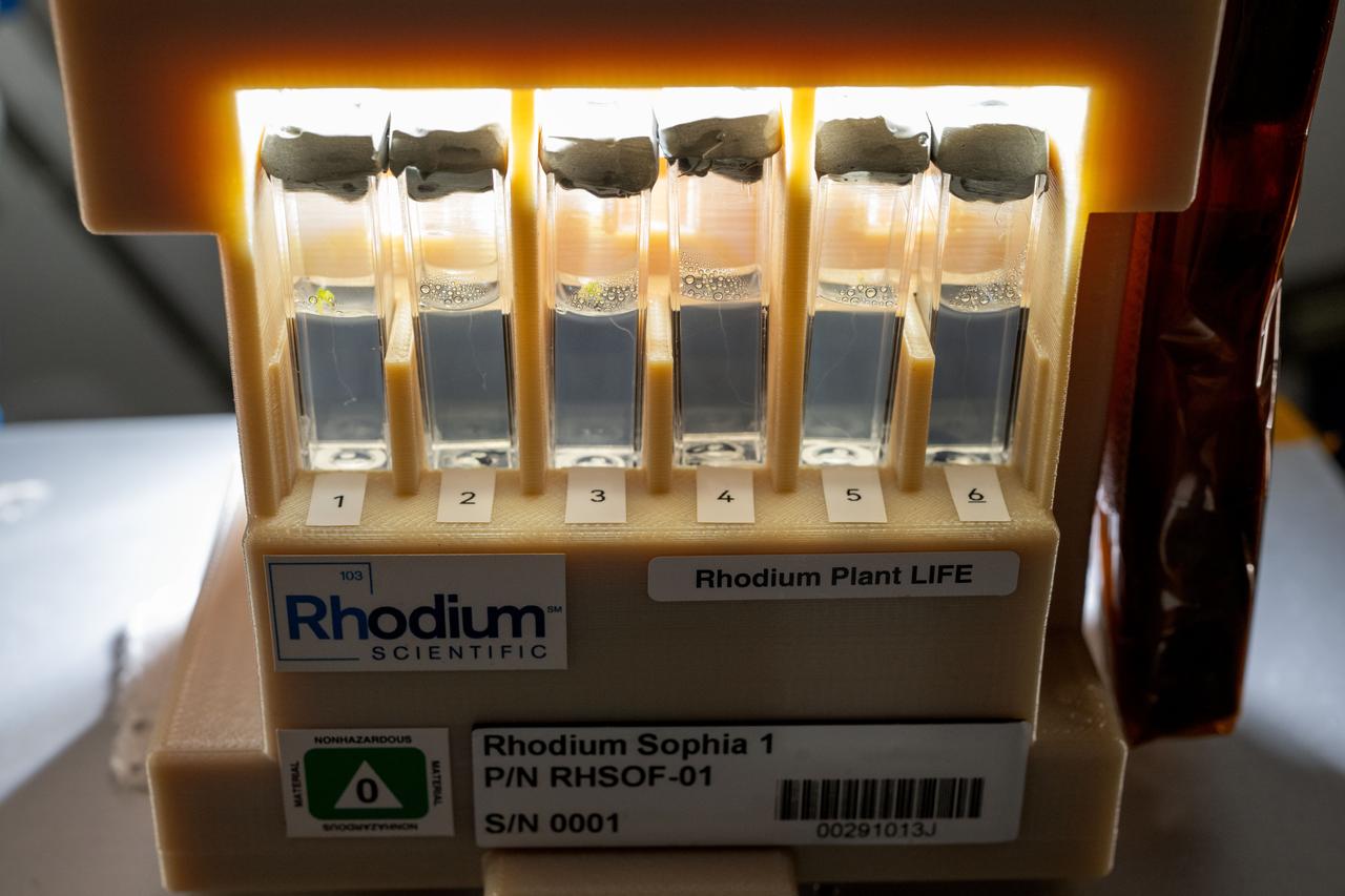 ISS072E034796 (10/10/2024) --- The LEO Integrated Flori-culture Experiment (LIFE) 01 (Rhodium Plant LIFE) hardware seen aboard the International Space Station. Rhodium Plant LIFE studies how radiation and gravitational forces at different orbital altitudes affect plant growth. Results could provide a better understanding of plant growth in space and reveal how changes in gene expression influence root development, contributing to improved production of plants in space and on Earth.