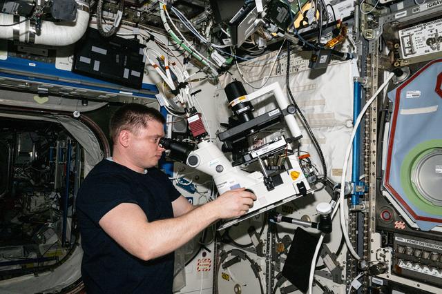 NASA image: Cosmonaut Alexander Grebenkin peers into a microscope during research activities