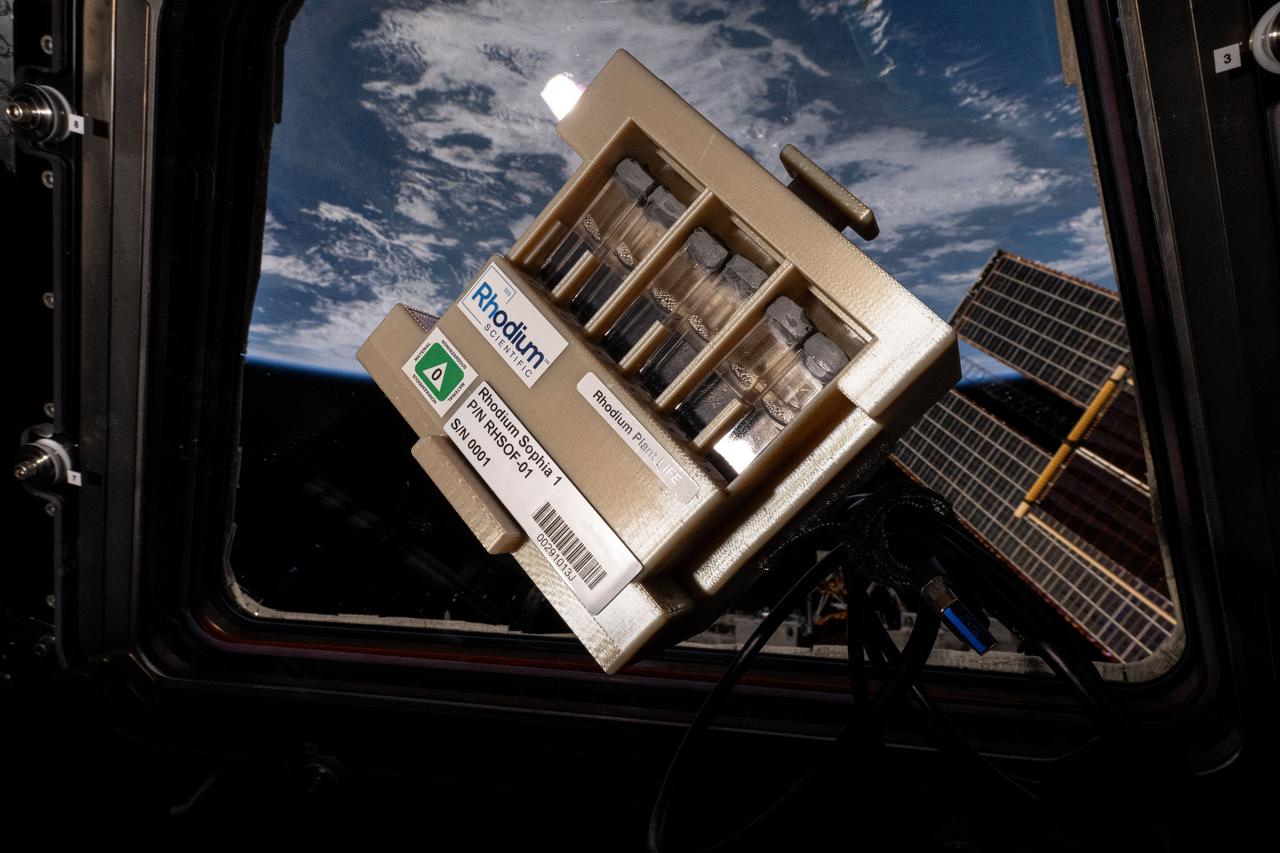 iss072e034773 (10/11/2024) --- The LEO Integrated Flori-culture Experiment (LIFE) 01 (Rhodium Plant LIFE) hardware seen aboard the International Space Station. Rhodium Plant LIFE studies how radiation and gravitational forces at different orbital altitudes affect plant growth. Results could provide a better understanding of plant growth in space and reveal how changes in gene expression influence root development, contributing to improved production of plants in space and on Earth.