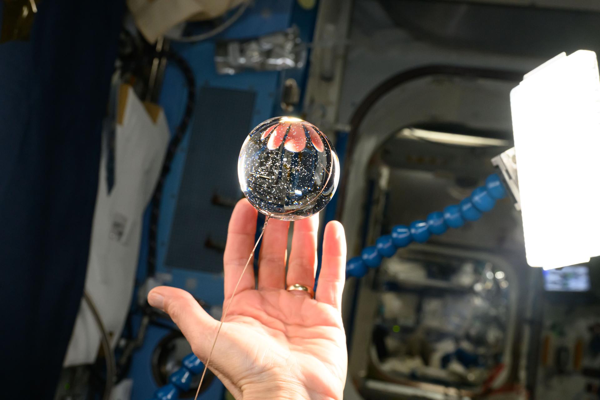 The fingers of NASA astronaut and Expedition 72 Flight Engineer Don Pettit are refracted in this sphere of water in the microgravity environment of the International Space Station.