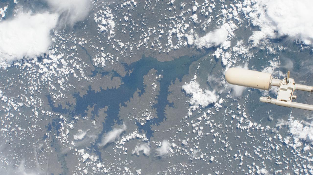 iss072e073616 (Oct. 19, 2024) --- Uganda's Lake Kyoga, hosting crocodiles, and numerous fish and plant species, extends into Lake Kwania, Lake Kojweri, and other lakes in this photograph from the International Space Station as it orbited 259 miles above the African nation.
