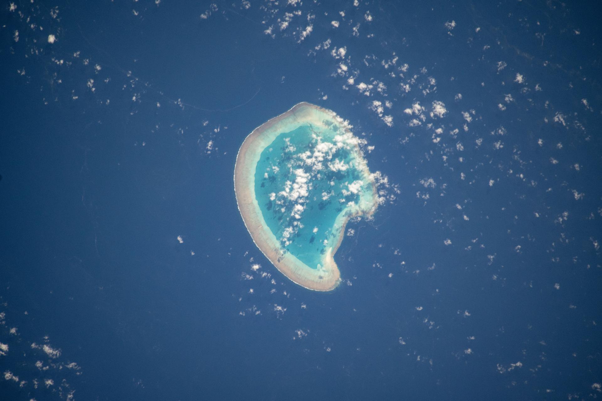 The French atoll of Bassas da India in the Mozambique Channel, halfway beween the African nations of Mozambiue and Madagascar, is pictured from the International Space Station as it orbited 264 miles above.