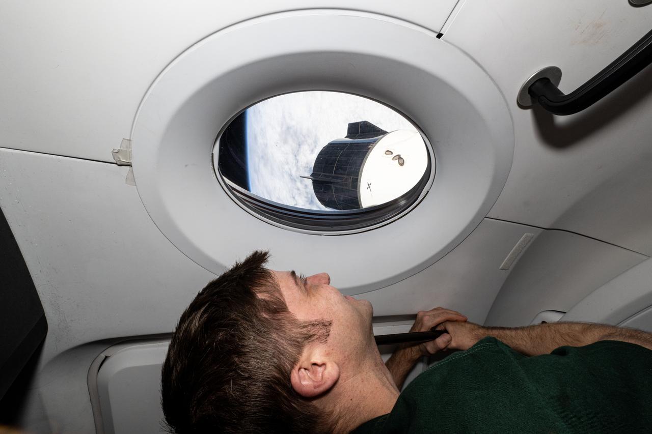 iss072e096839 (Oct. 22, 2024) --- NASA astronaut and Expedition 72 Flight Engineer Matthew Dominick looks out a window on the SpaceX Dragon Endeavour spacecraft as the International Space Station orbited 267 miles above the Pacific Ocean of the coast of Chile. Just outside Endeavour's window is the Dragon Freedom spacecraft.