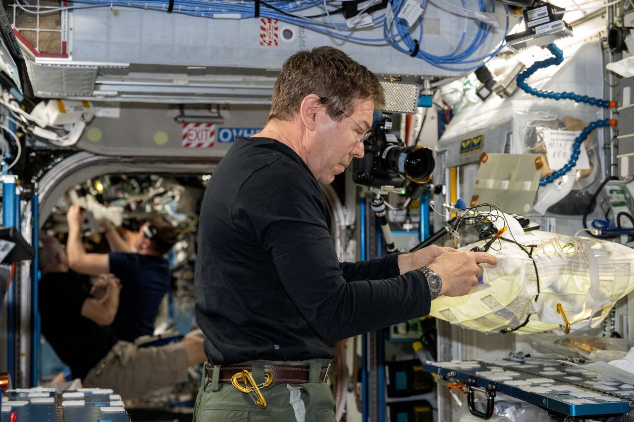 iss072e097785 (Oct. 19, 2024) --- NASA astronaut and Expedition 72 Flight Engineer Mike Barratt works on maintenance activities aboard the International Space Station's Harmony module.