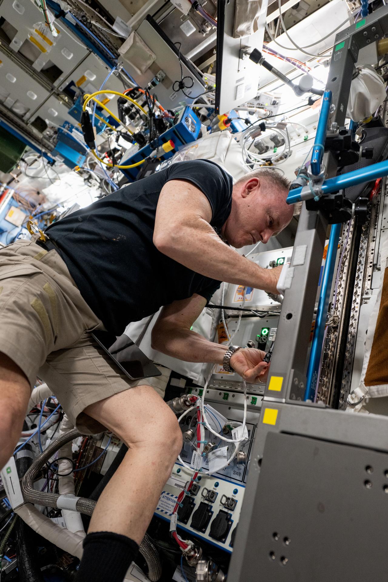 NASA astronaut and Expedition 72 Flight Engineer Butch Wilmore installs the Powered Ascent Utility Locker-2 (PAUL-2) in an EXPRESS rack aboard the International Space Station's Destiny laboratory module. PAUL-2 was launched aboard the SpaceX Dragon cargo spacecraft and can provide power and temeperature control for experiments packed inside Dragon during its trip to the orbital outpost.