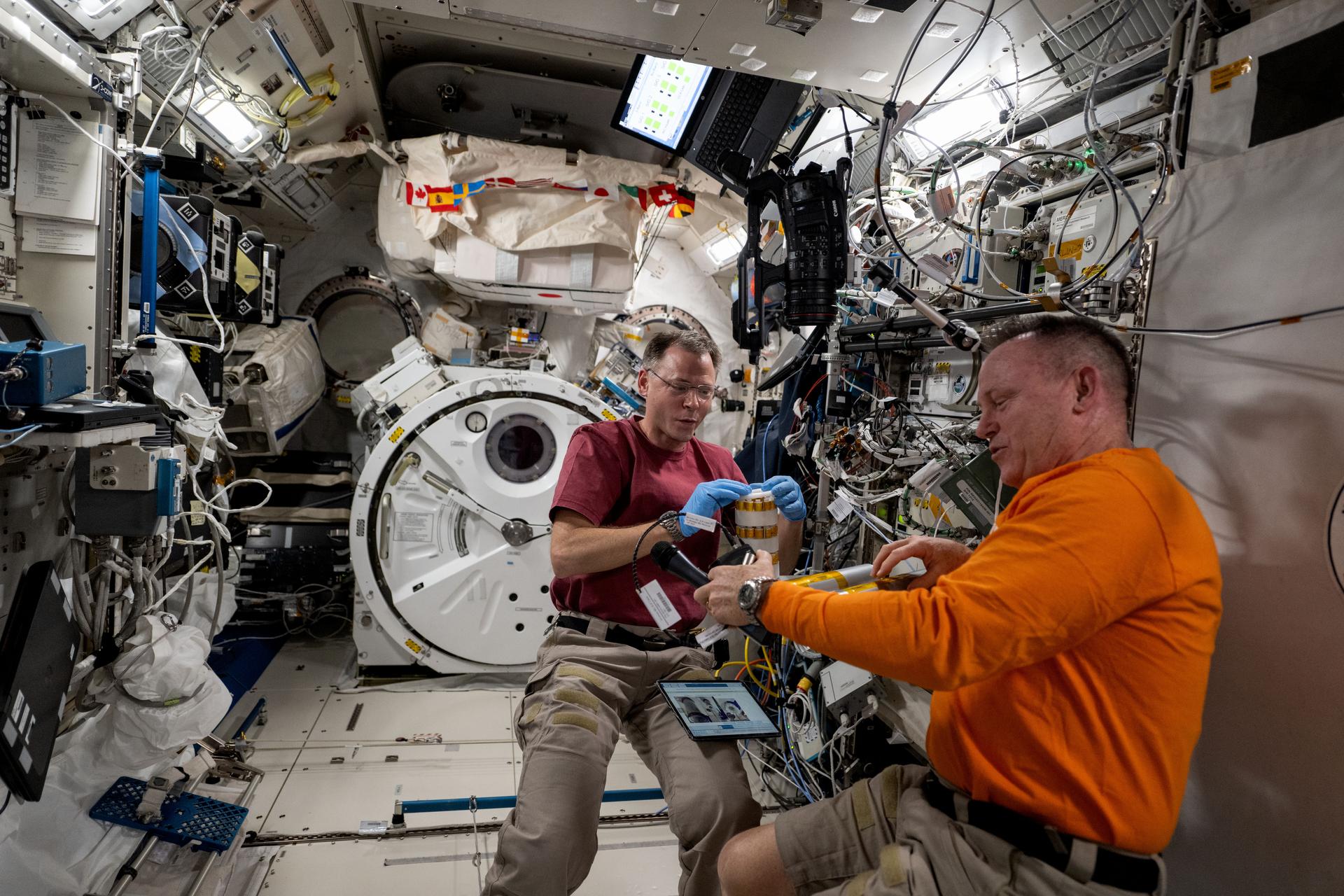 Expedition 72 Flight Engineers (from left) Nick Hague and Butch Wilmore, both NASA astronauts, partner together inside the International Space Station's Kibo laboratory module on space biology research. Hague was exploring the potential of biomanufacturing using microorganisms and cell cutlures to create food, medicine, and more in the microgravity environment reducing the need for cargo missions launched from Earth and promoting crew self-sufficiency during long-term missions.