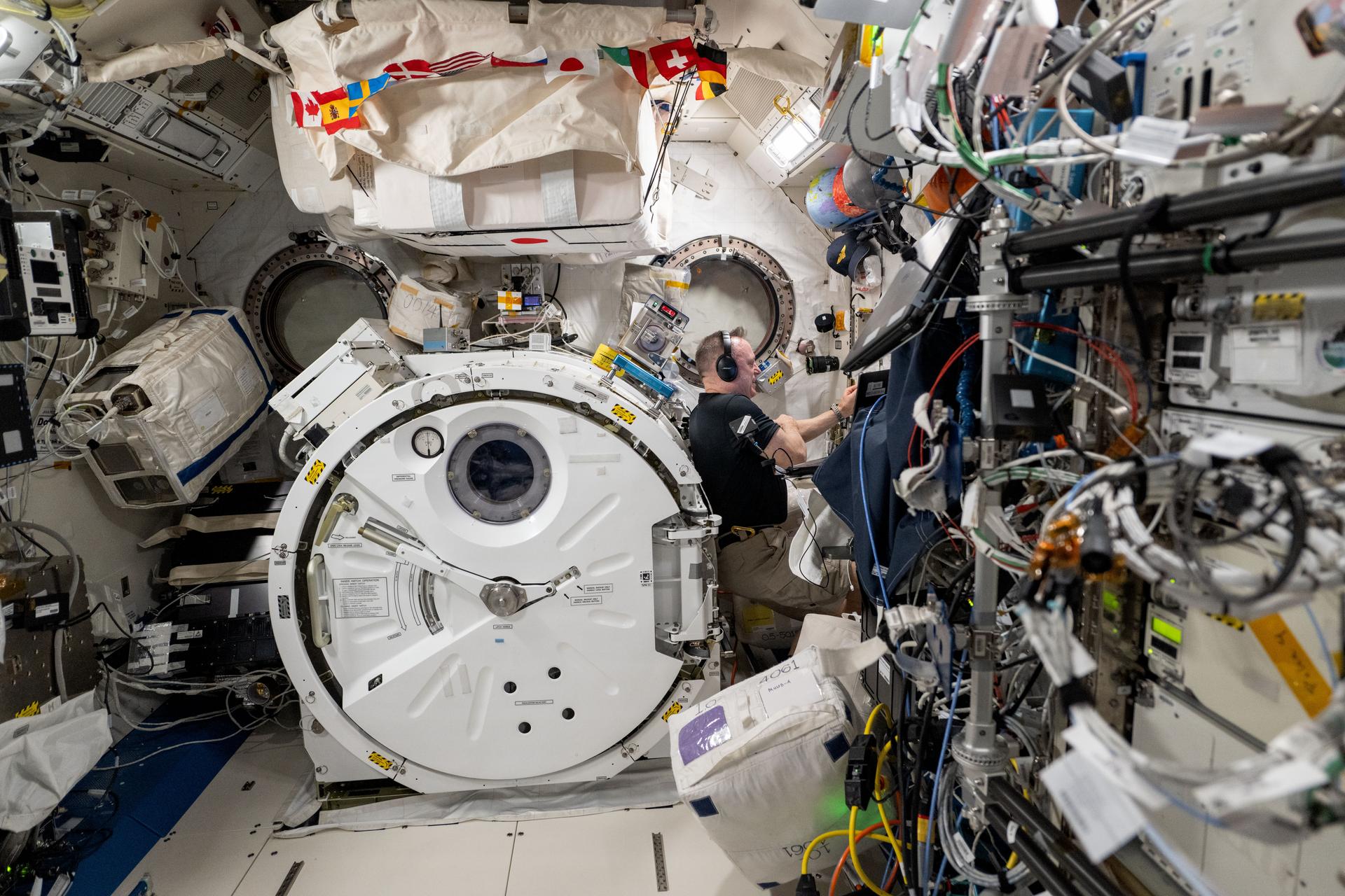NASA astronaut and Expedition 72 Flight Engineer Butch Wilmore works on science maintenance tasks inside the International Space Station's Kibo laboratory module.