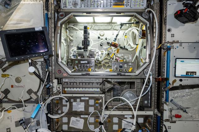 NASA image: iss072e146341