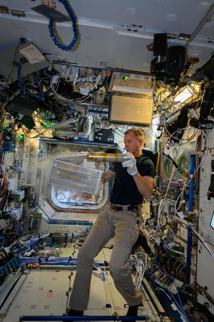 NASA astronaut Nick Hague processes samples for a biotechnology experiment