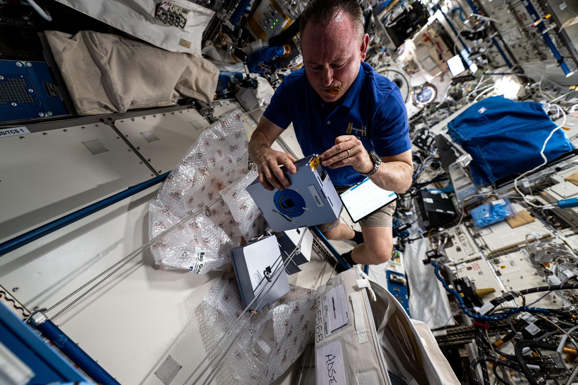 NASA astronaut and Expedition 72 Flight Engineer Butch Wilmore swaps sample cassettes inside the Advanced Space Experiment Processor-4 (ADSEP-4) located aboard the International Space Station's Kibo laboratory module. The ADSEP-4 is a portable research facility that supports multiple types of science experiments on the orbital outpost and also interfaces with the SpaceX Dragon and Northrop Grumman Cygnus cargo spacecraft.