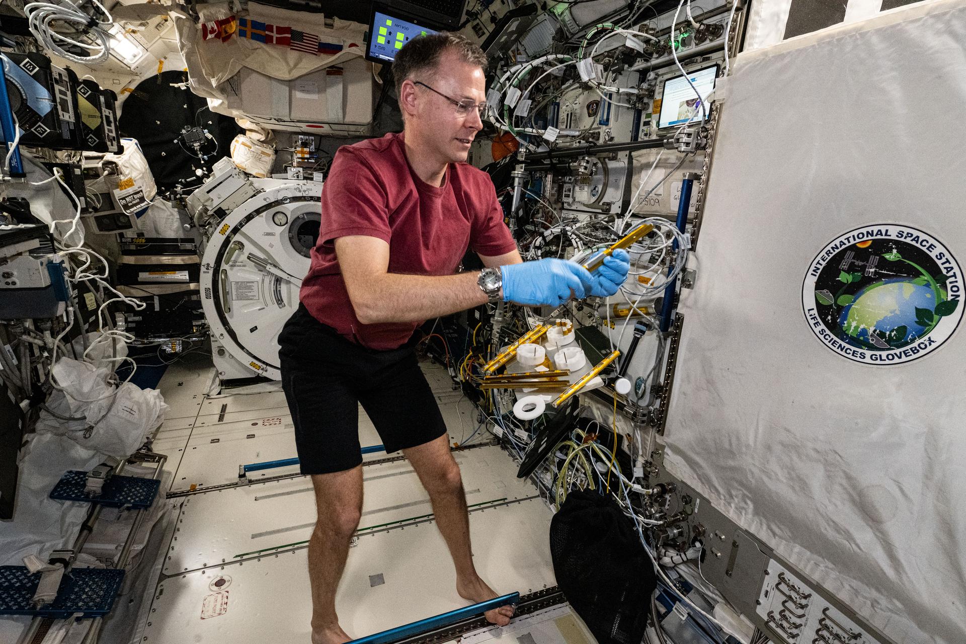 NASA astronaut and Expedition 72 Flight Engineer Nick Hague services research hardware for the Rhodium Biomanufacturing-03 experiment inside the International Space Station's Kibo laboratory module. The investigation explores using bacteria and yeast samples as a method to potentially enable the production of food and medicine in space.