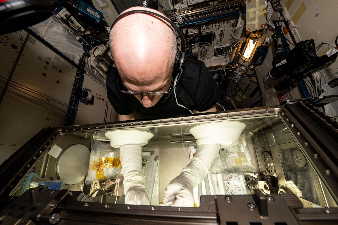 iss072e310952 (Dec. 3, 2024) --- NASA astronaut and Expedition 72 Flight Engineer Don Pettit processes bacteria samples in the Kibo laboratory module's Life Science Glove to understand why some pathogens are more potent in the microgravity environment. Those samples were also packed inside the SpaceX Dragon cargo spacecraft for return and analysis back on Earth. The space biology investigation uses genetic analysis techniques to identify the antibiotic resistant organisms and help researchers protect crew health on long-term space missions.