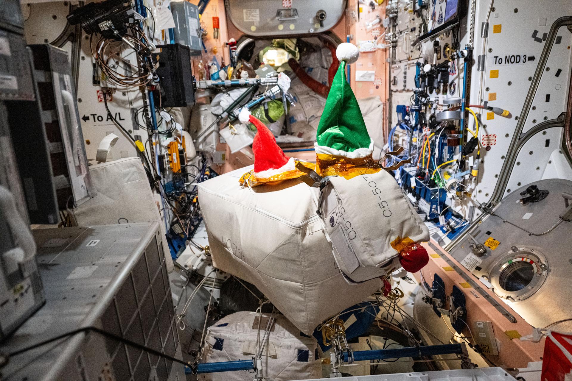 The Expedition 72 crew is getting into the Christmas spirit aboard the International Space Station using excess hardware, cargo bags, and recently-delivered Santa hats to decorate the orbiting lab's Unity module with a familiar reindeer.