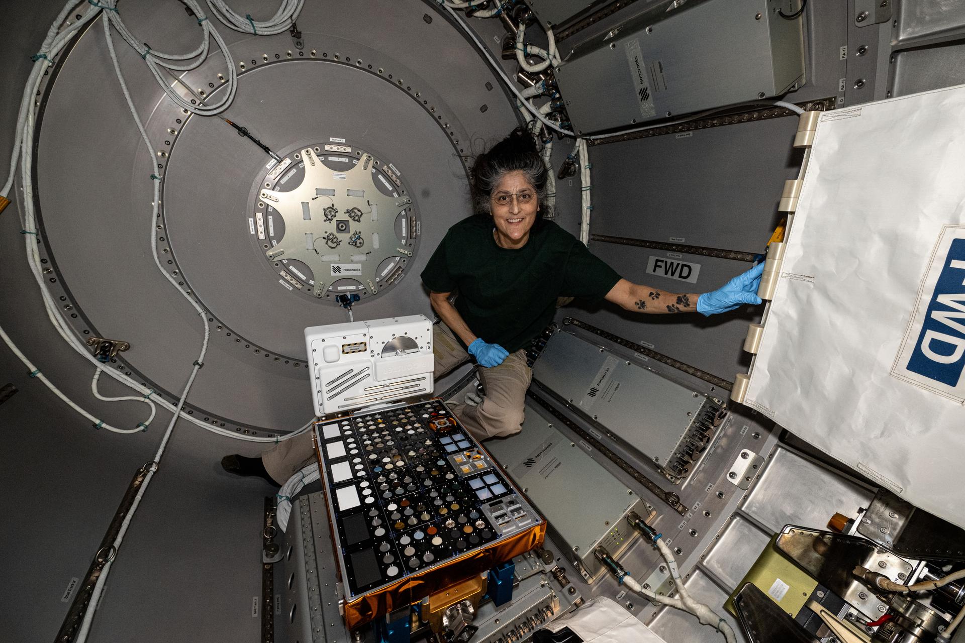 NASA astronaut and Expedition 72 Commander Suni Williams installs the European Materials Ageing experiment hardware inside the Nanoracks Bishop airlock. The external investigation will be robotically removed from Bishop, installed on the Bartolomeo research platform attached to the outside of the Columbus laboratory module, and expose a variety of materials to the vacuum of space for about a year.