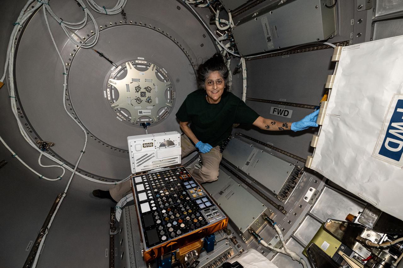 iss072e363243 (Dec. 13, 2024) --- NASA astronaut and Expedition 72 Commander Suni Williams installs the European Materials Ageing experiment hardware inside the Nanoracks Bishop airlock. The external investigation will be robotically removed from Bishop, installed on the Bartolomeo research platform attached to the outside of the Columbus laboratory module, and expose a variety of materials to the vacuum of space for about a year.