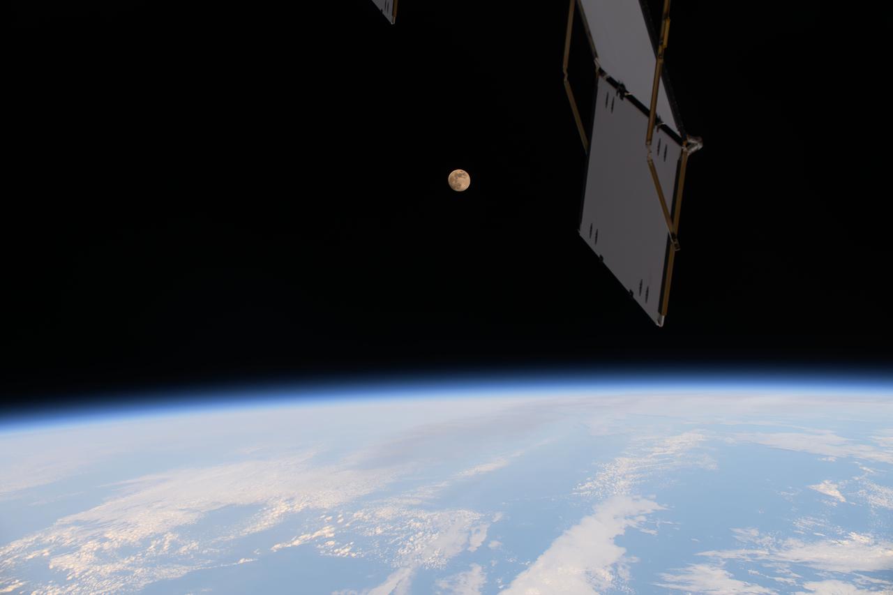 iss072e364168 (Dec. 14, 2024) --- The Full Moon is pictured from the International Space Station as it orbited 261 miles above the Pacific Ocean. In the foreground, a portion of one of the orbital outpost's radiators, also known as the External Active Thermal Control System, is seen.