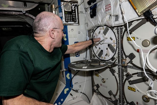 Astronaut Don Pettit stows plant samples inside a science freezer