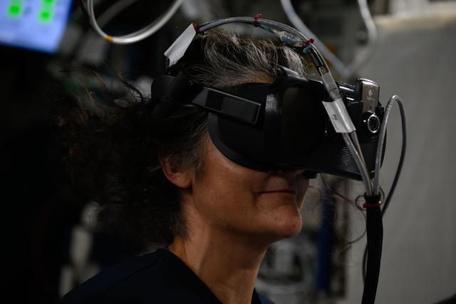 NASA image: Astronaut Suni Williams wears a virtual reality headset during spacewalk training
