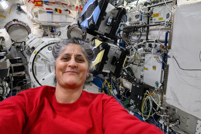 NASA image: Astronaut Suni Williams takes a selfie portrait