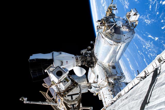 Astronaut Suni Williams is dwarfed near the SpaceX Dragon crew spacecraft