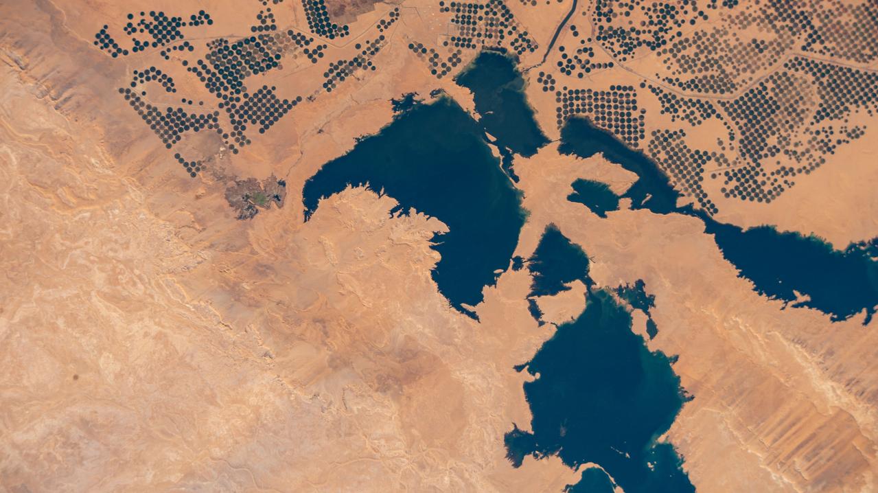 iss072e574769 (Jan. 29, 2025) --- Agricultural activity, supported by the Toshka Lakes created by the overflow from nearby Lake Nasser in Egypt, is pictured from the International Space Station as it orbited 259 miles above.