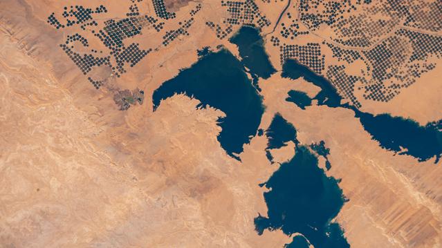 NASA image: Agricultural activity supported by the Toshka Lakes in Egypt