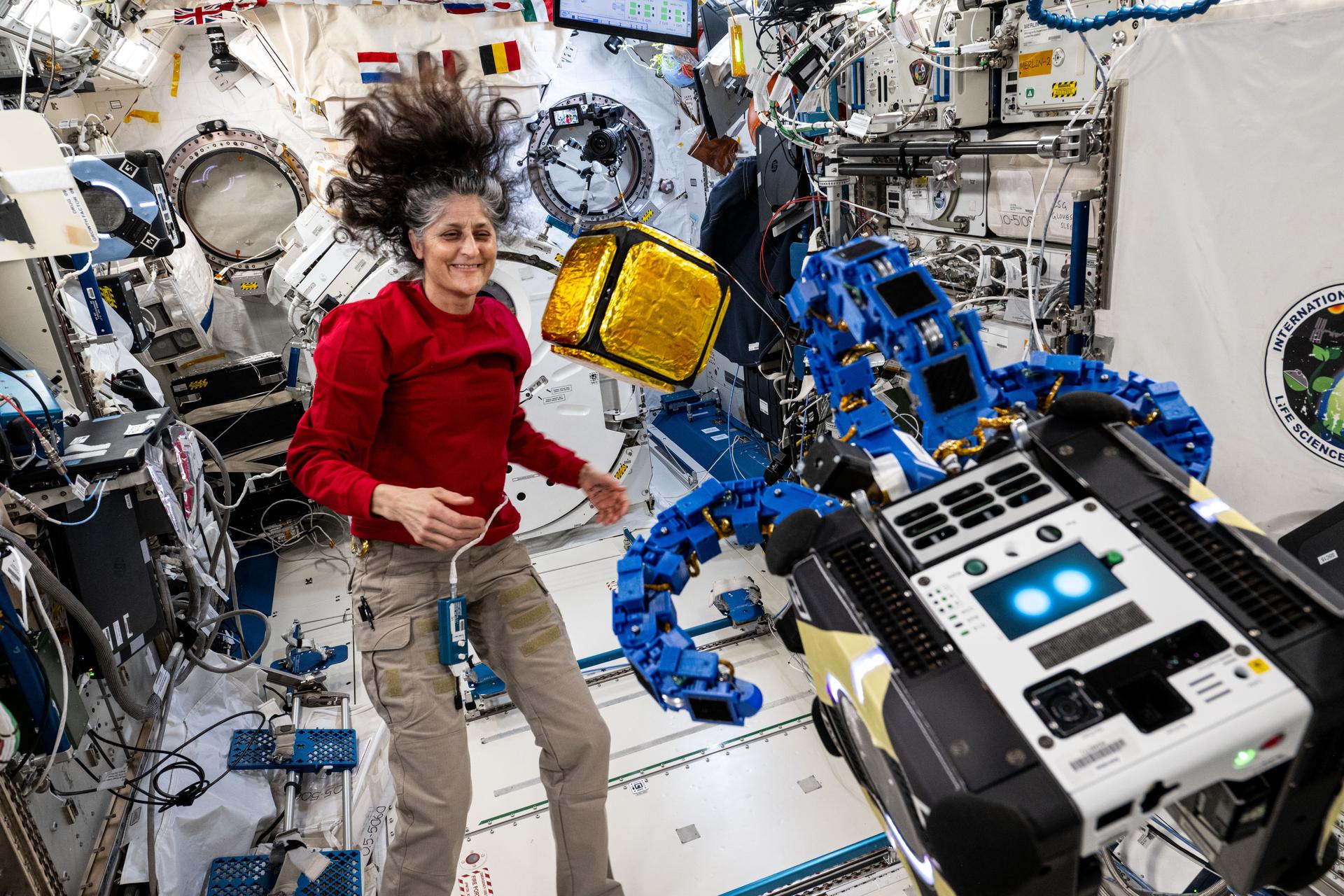 NASA astronaut and Expedition 72 Commander Suni Williams monitors an Astrobee robotic free-flyer outfitted with tentacle-like arms containing gecko-like adhesive pads preparing to grapple a "capture cube." The toaster sized Astrobee, with the experimental grippers attached, demonstrated autonomous detection and capture techniques that may be used to remove space debris and service satellites in low Earth orbit.